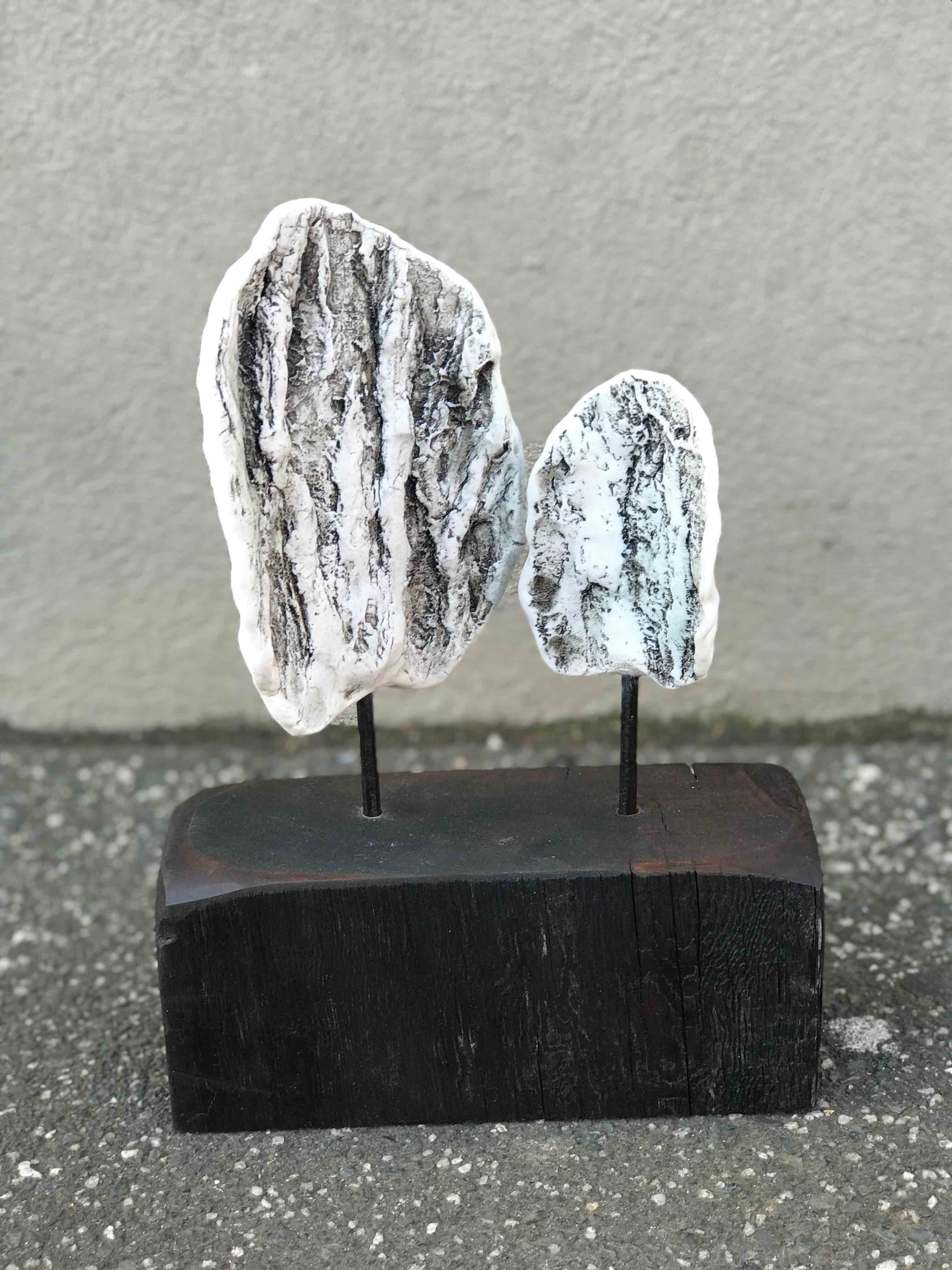 Conversation With a Tree - Elm, robyn phelan. porcelain, melbourne street trees