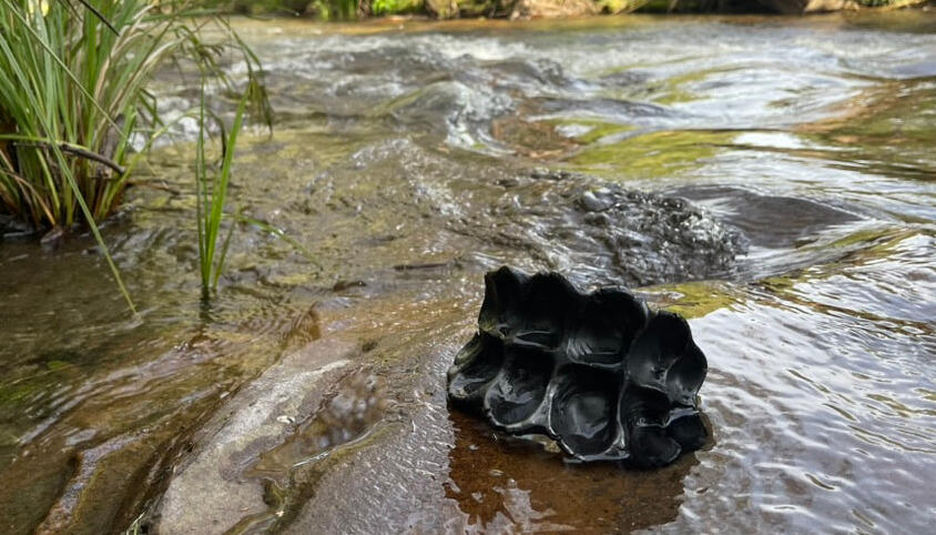 Blackware work in Delatite