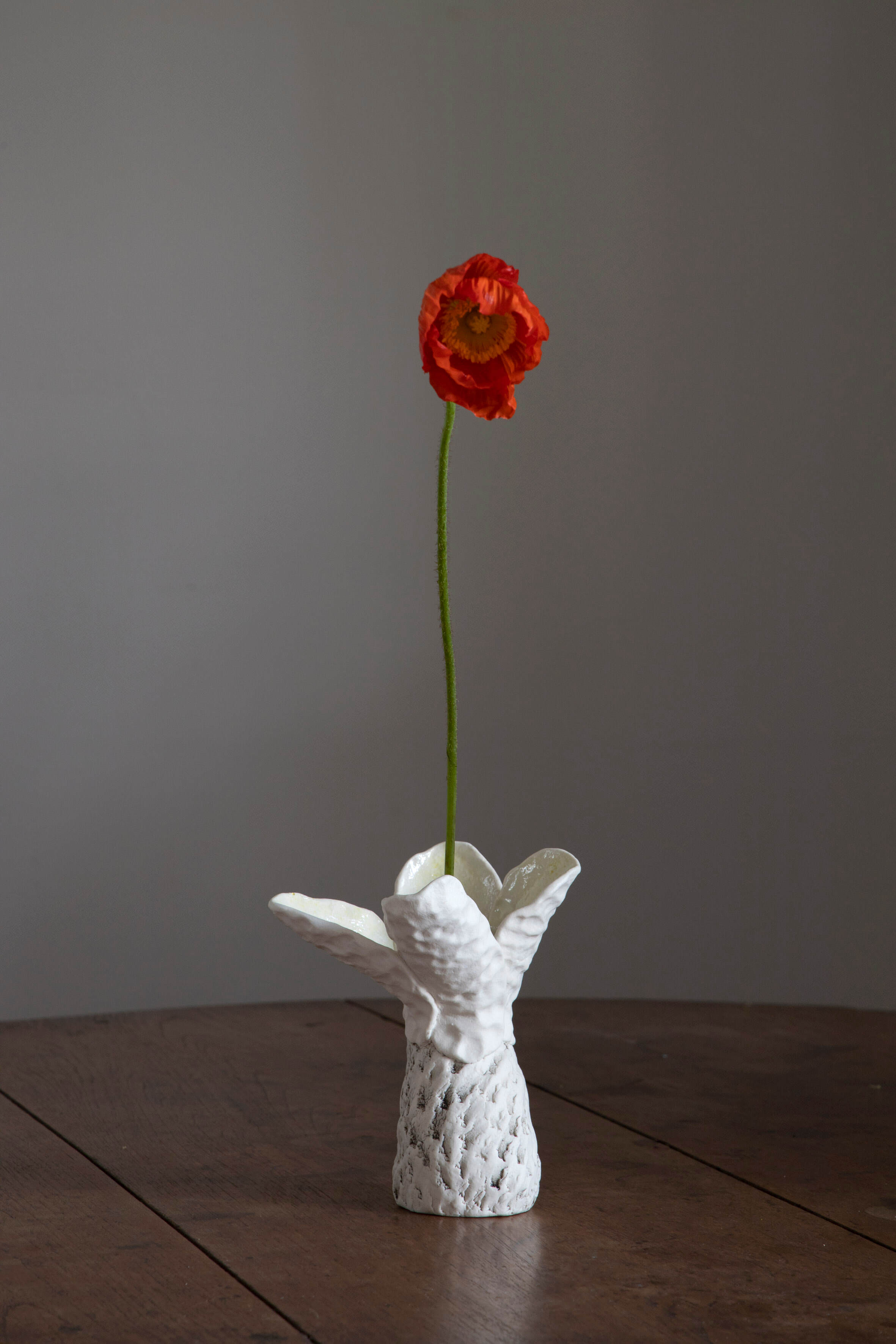 Robyn Phelan. Conversations with black wattle with poppies