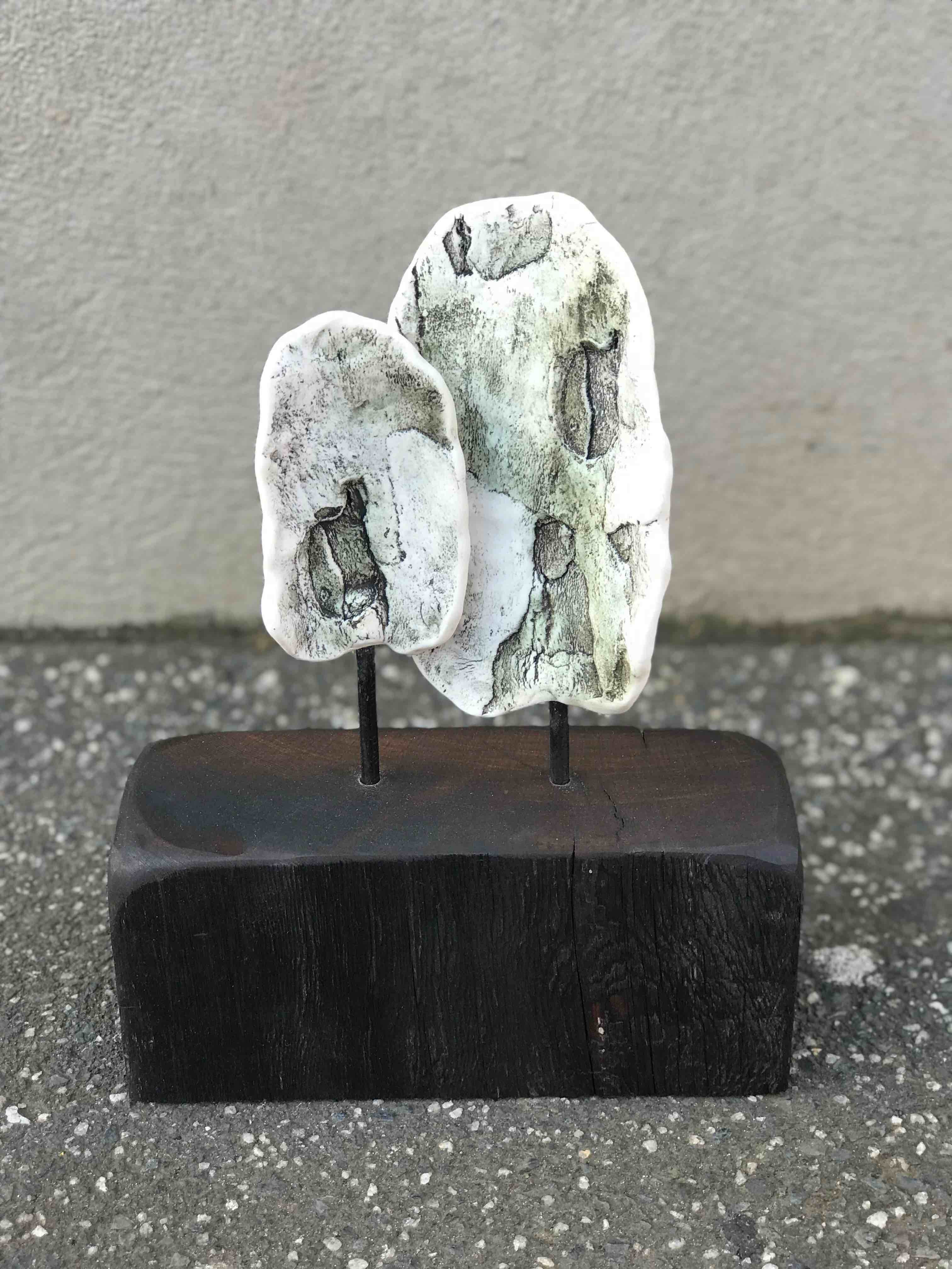 Conversation with a street tree, plane tree, robyn phelan, ceramic, sculpture, wood
