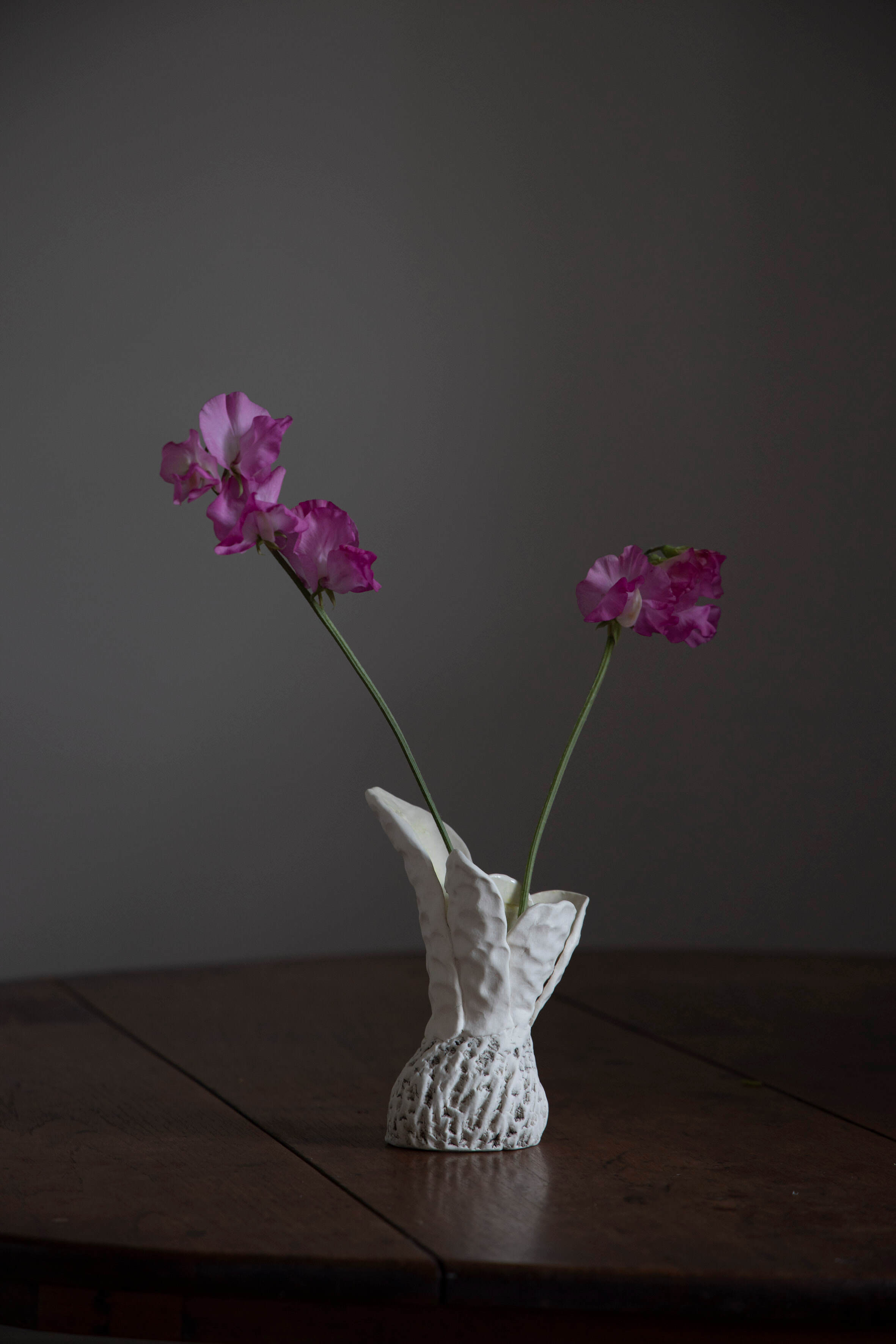 Robyn Phelan. Conversations with black wattle with sweet pea