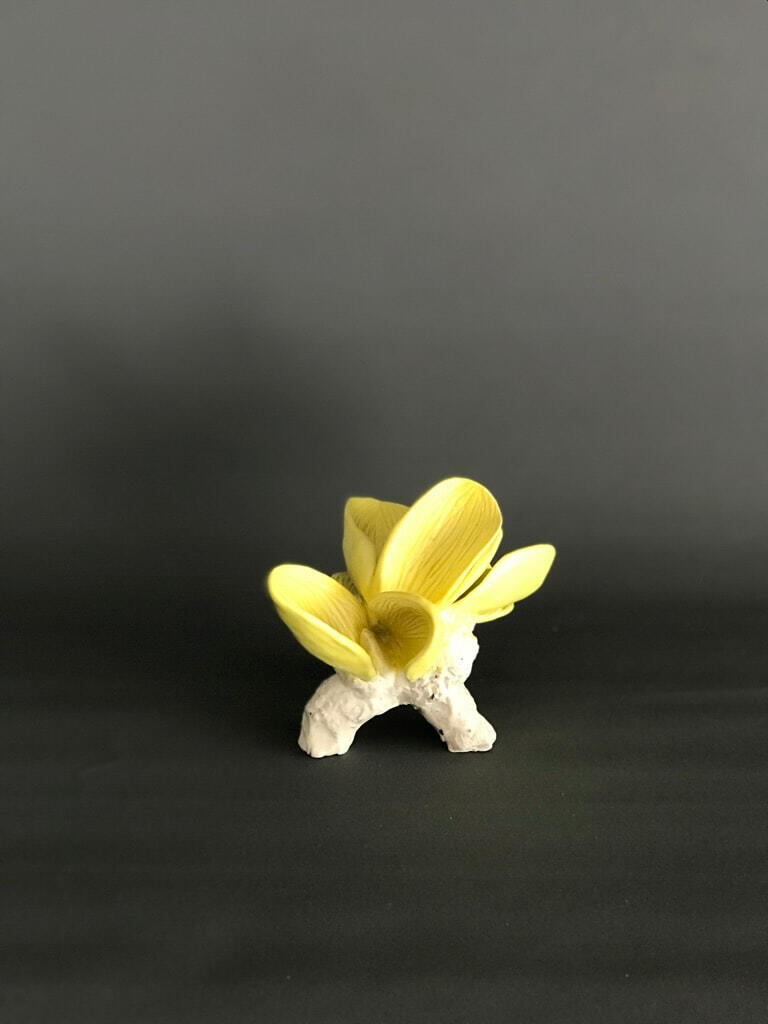 C8012698-ED7B-4D22-91A3-05056F694515_1_105_c