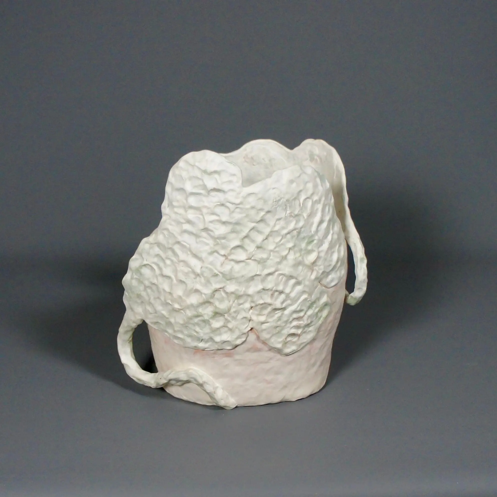 Dear Clarice Misty Evening in Naarm - jardinière with wattle and placenta  (Edit)