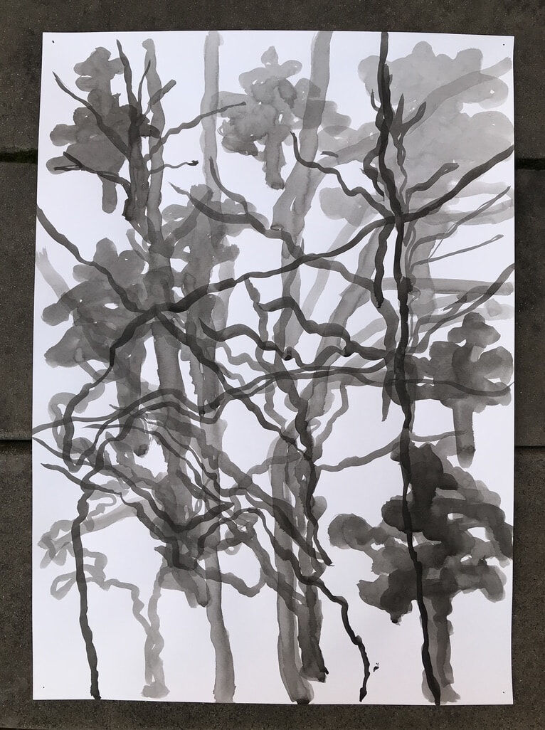 Trees in ink