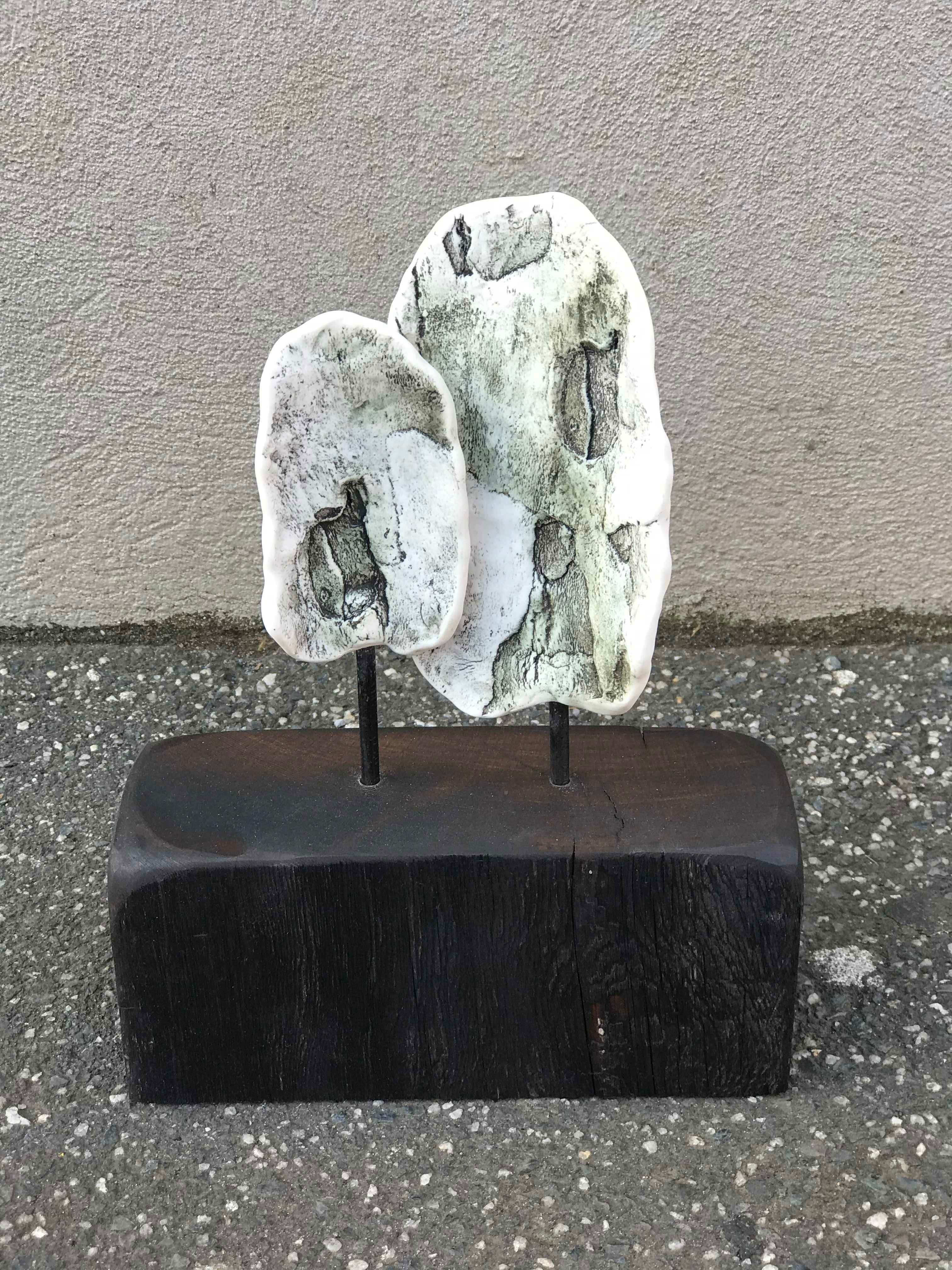 Phelan Conversation_Plane Tree
