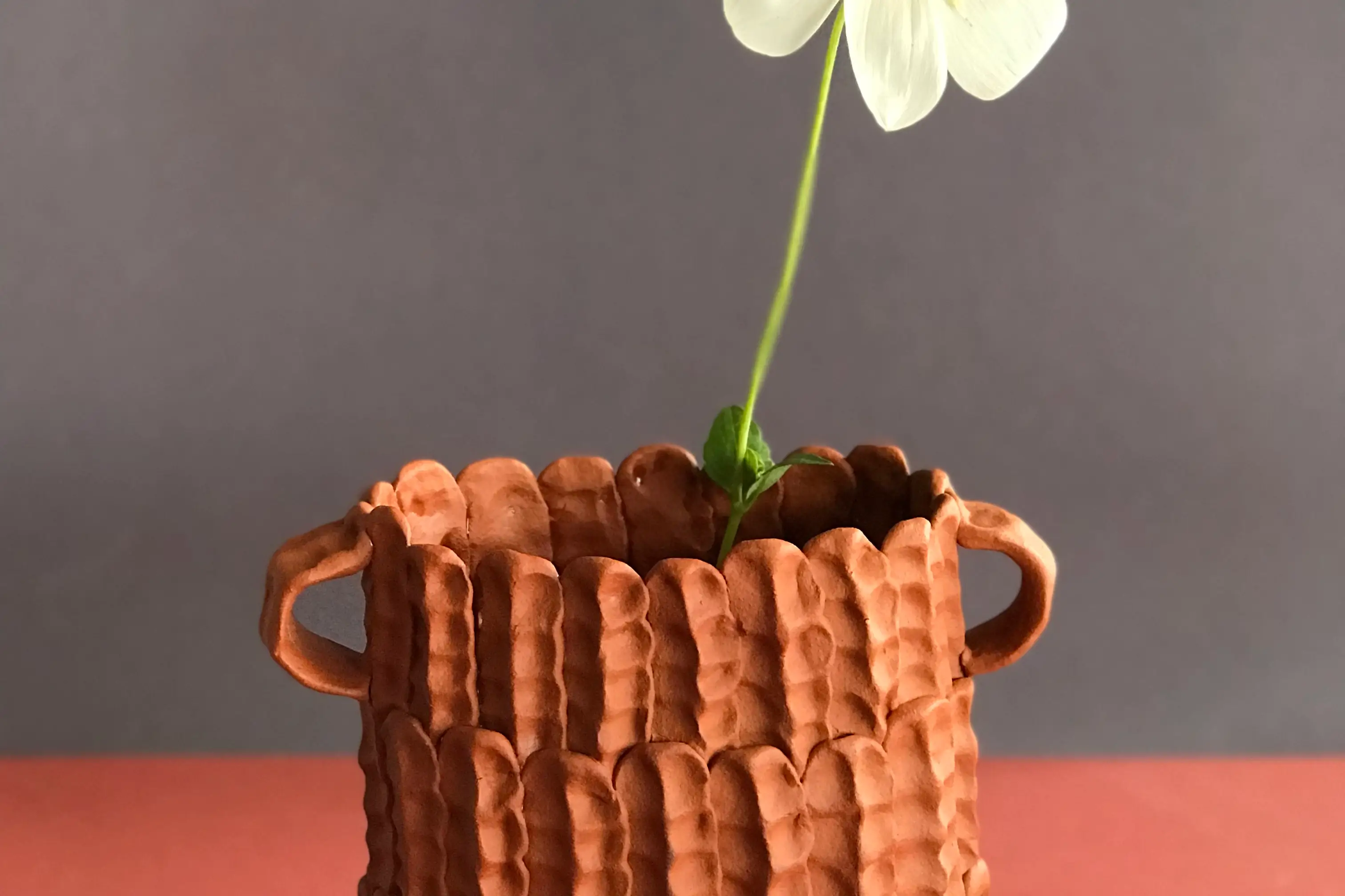 Robyn Phelan Artist | Ceramics Pottery & Art