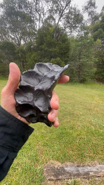 E62991F3-CCAD-499A-A7ED-BF32DF401F92_1_105_c