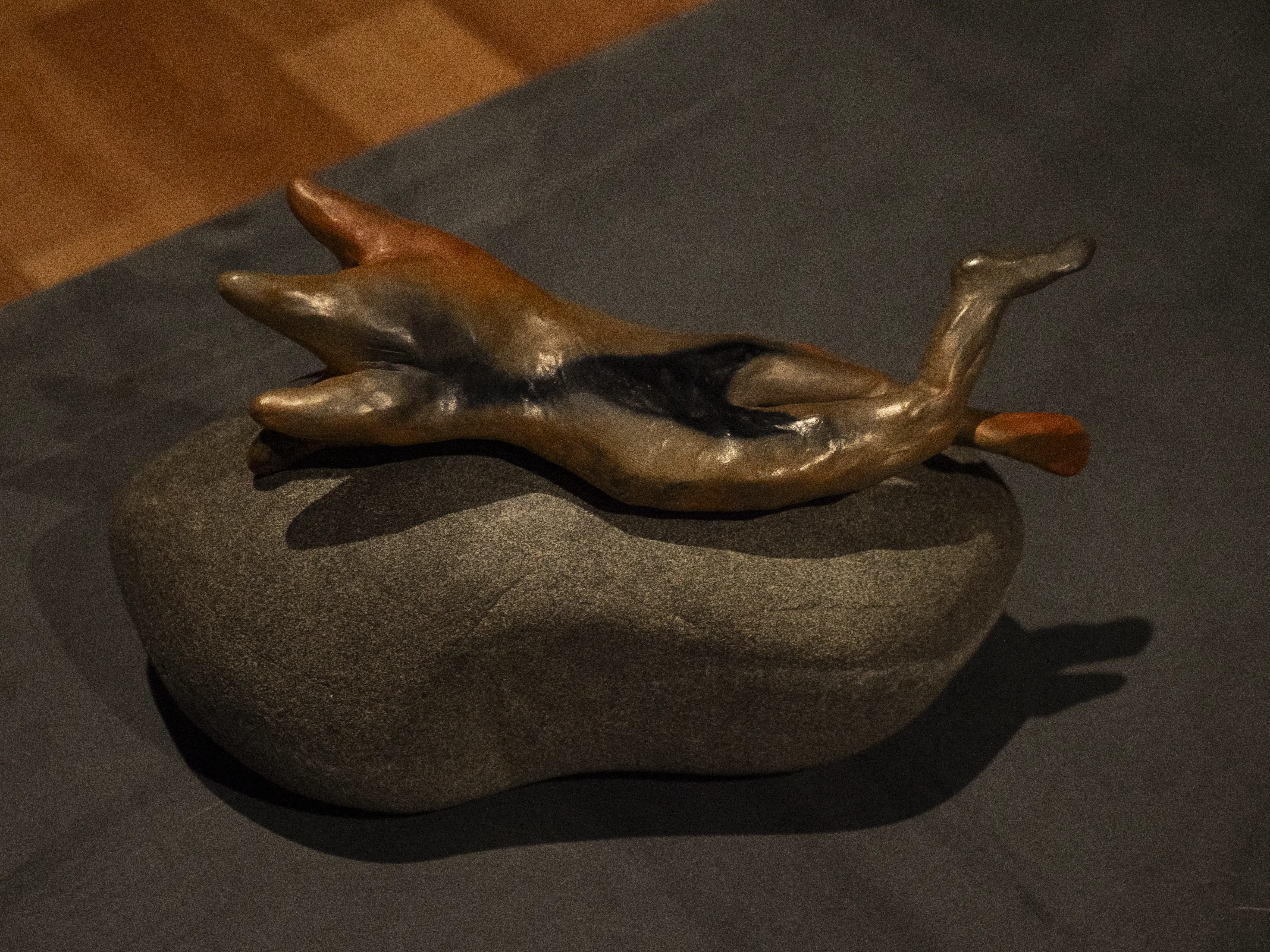 river bodies-12(1)