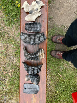 36C9A8CD-011D-4FED-891C-91965D368093_1_105_c