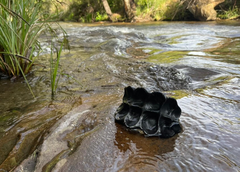 Blackware work in Delatite