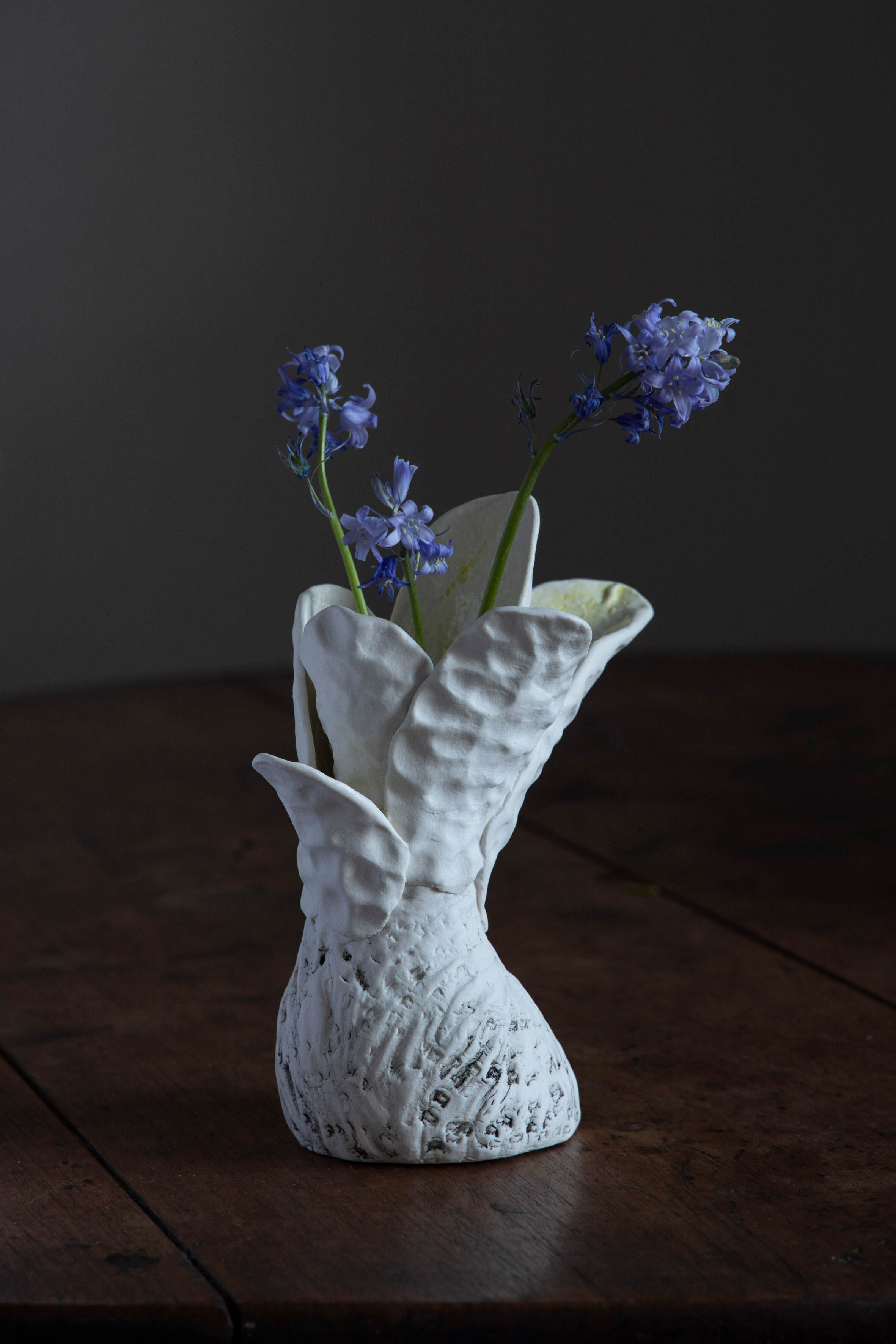 Robyn Phelan.Conversation with blackwattle with bluebells
