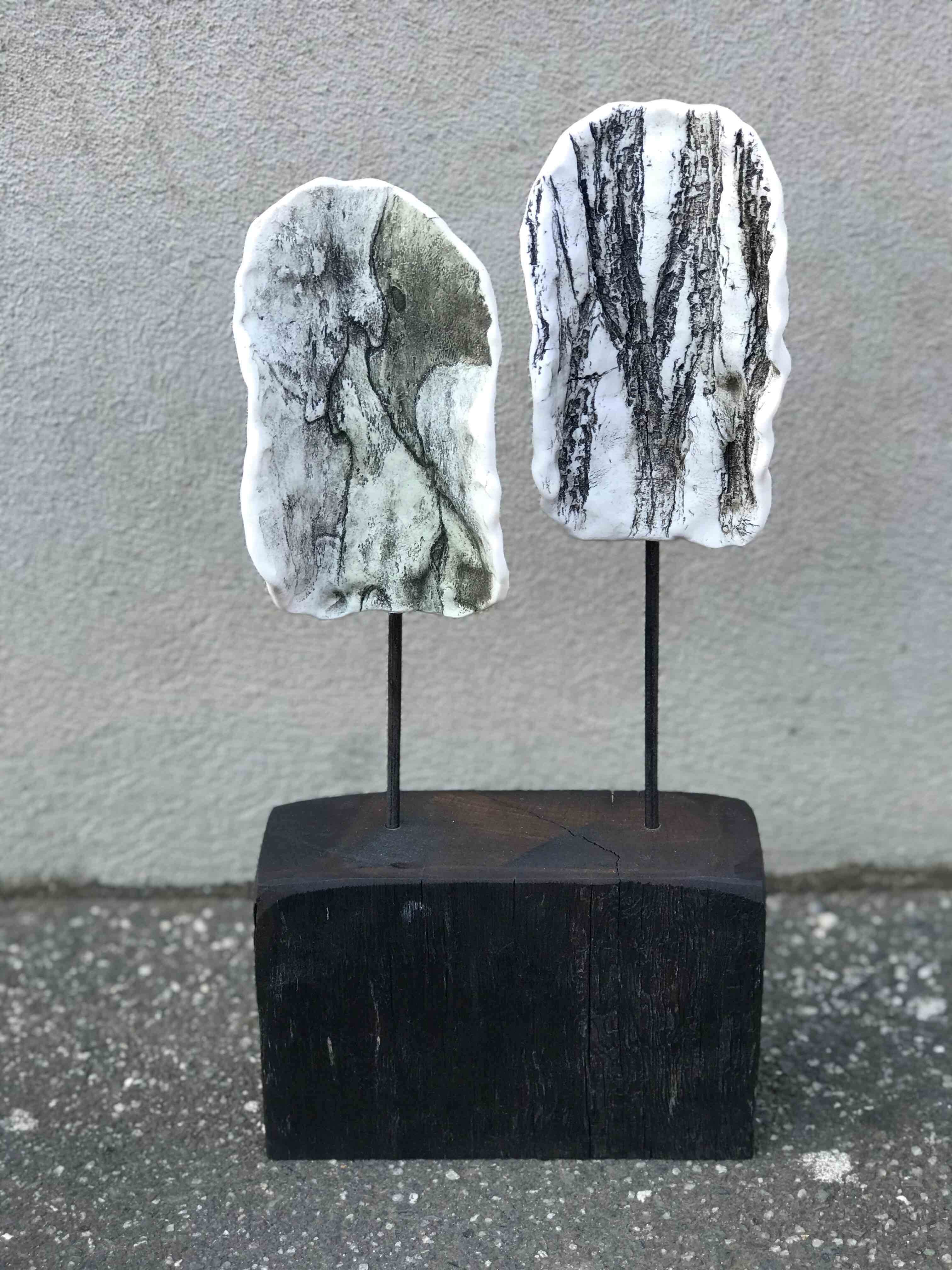 Conversation With a Tree - Elm, robyn phelan. porcelain, melbourne street trees