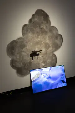 River Bodies install 1